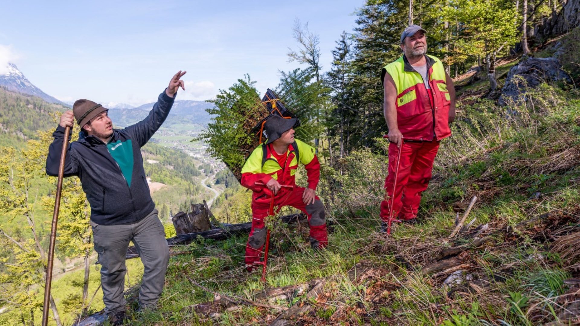Forstarbeiter beim Aufforsten